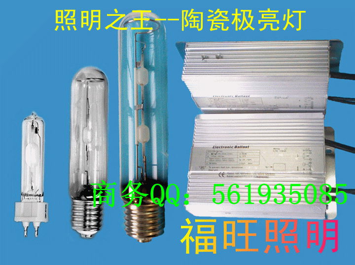 250w Single Ended Ceramic Metal Halide 2