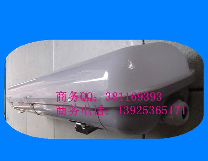 T8 three Proof Fluorescent Tube Lamp  2