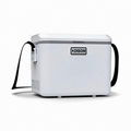 Mini Fridge Cooler Box 1