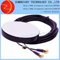 SB-CA200-SMA-5M GPS GSM antenna with SMA 5