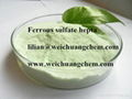 FERROUS SULPHATE CAS：7720-78-7 1