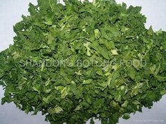 DEHYDRATED SPINACH