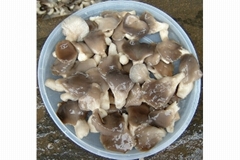 山东博通食品有限公司