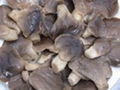 SALTED OYSTER MUSHROOM 1