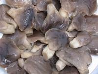 SALTED OYSTER MUSHROOM