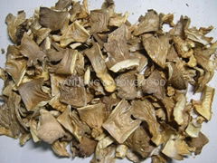 DEHYDRATED OYSTER MUSHROOM