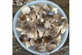 SALTED OYSTER MUSHROOM 2