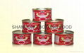 CANNED TOMATO PASTE 1