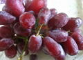 fresh crimson grapes