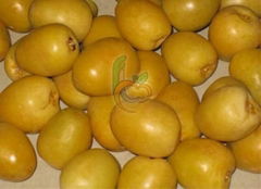 Egyptian fresh  Barhi dates by fruit link