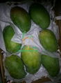 Egyptian mango ( mabruka )  From Egypt  2