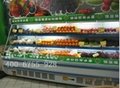 上海蔬菜保鮮櫃
