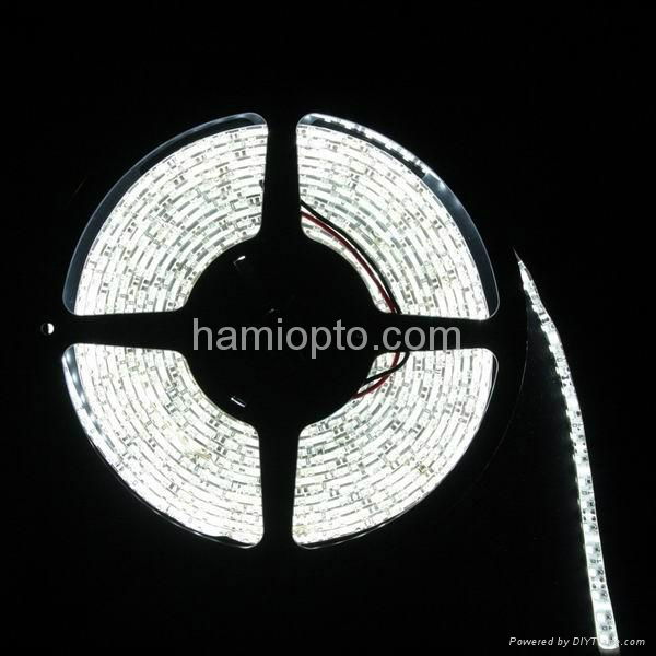 SMD5050 Wide Whiteboard 60LED/M Flexible led strip light white 2