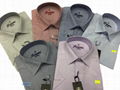 Regularfit men's shirts (production & wholesale) 3