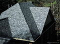 asphalt shingles 2