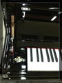 123cm Economic Popular Acoustic Upright Piano /Silent Piano Cutomized Color