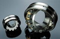 Self-aligning ball bearings