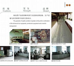 Qingdao L&Z Conveyor System Co., Ltd 