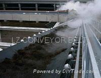 Heat Resistant Conveyor Belt