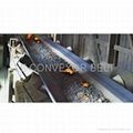 Heat Resistant Conveyor Belt 2
