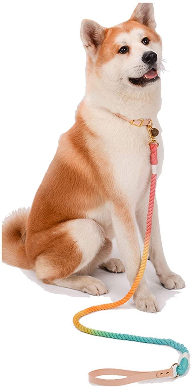Manufacturer’s custom dog leash for pets 4