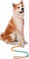 Manufacturer’s custom dog leash for pets 4
