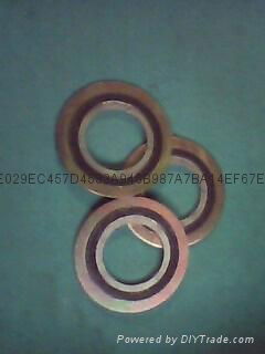 spiral wound gasket