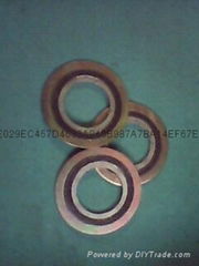 spiral wound gasket