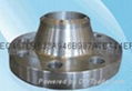   ANSI American standard flange 1