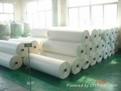 polyester spunbonded nonwovens