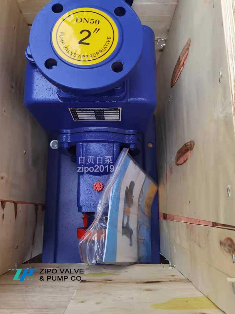 ZIPO no blockage horizontal self-priming pump 2