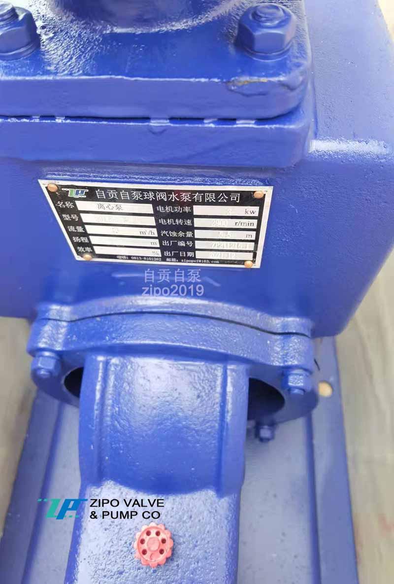 ZIPO no blockage horizontal self-priming pump 4