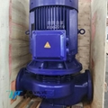 ZISG vertical pipeline centrifugal pump 1