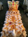 Traditional Foshan lion in white color