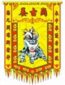 Printed banner for lion dance team 13