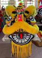 Futsan style lion heads with wool in different colors 9