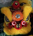 Golden yellow sheep fur futsan style lion heads