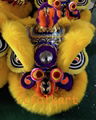 Golden yellow sheep fur hoksan style lion heads