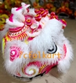 Beautiful pink base white ram fur lion head 10