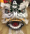 Good quality traditional lion heads