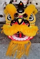 Custom made theme lions