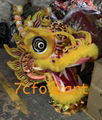 Chinese traditional southern dragon set 10