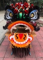 Foshan traditional lion heads