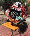 Foshan traditional lion heads