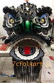 Foshan traditional lion heads