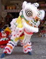 Hoksan style multicolored lion head