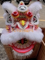 LED Lion heads