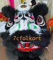 9" bamboo lion head