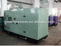 Diesel Generator set(TP200) 2