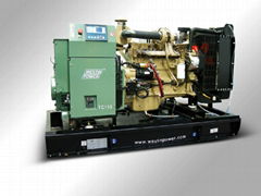 Diesel generating set(TC110)